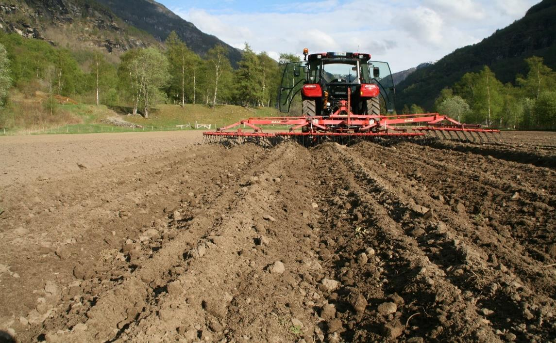 Markedet preges imidlertid av umodenhet, ved at produkttilgangen er så liten og ujevn at det på samme tid kan oppstå overproduksjon og forbrukere som ikke får tak i produktene.