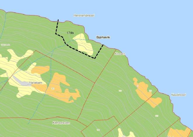 Utgreiing av delområde Område B1 Bjørkeviki Areal: 17 da Oversiktkart Planlagt arealbruk: Fritidshus.