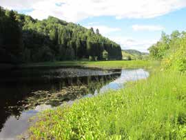 Vannvegetasjon: Vannvegetasjonen ble undersøkt med båt. Største dyp i kroksjøen var ca. 2,8 m, og substratet besto av silt og dy. Unntatt et lite område på ca.