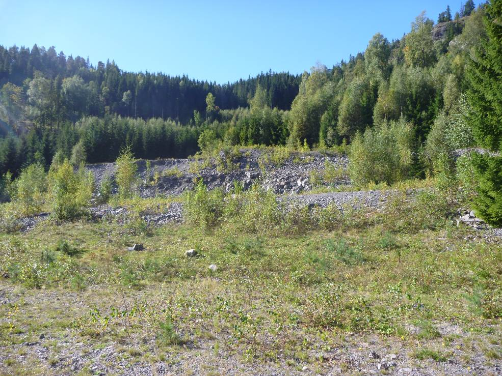 TELEMARK FYLKESKOMMUNE KULTURHISTORISK REGISTRERING Siljan kommune Almedalen