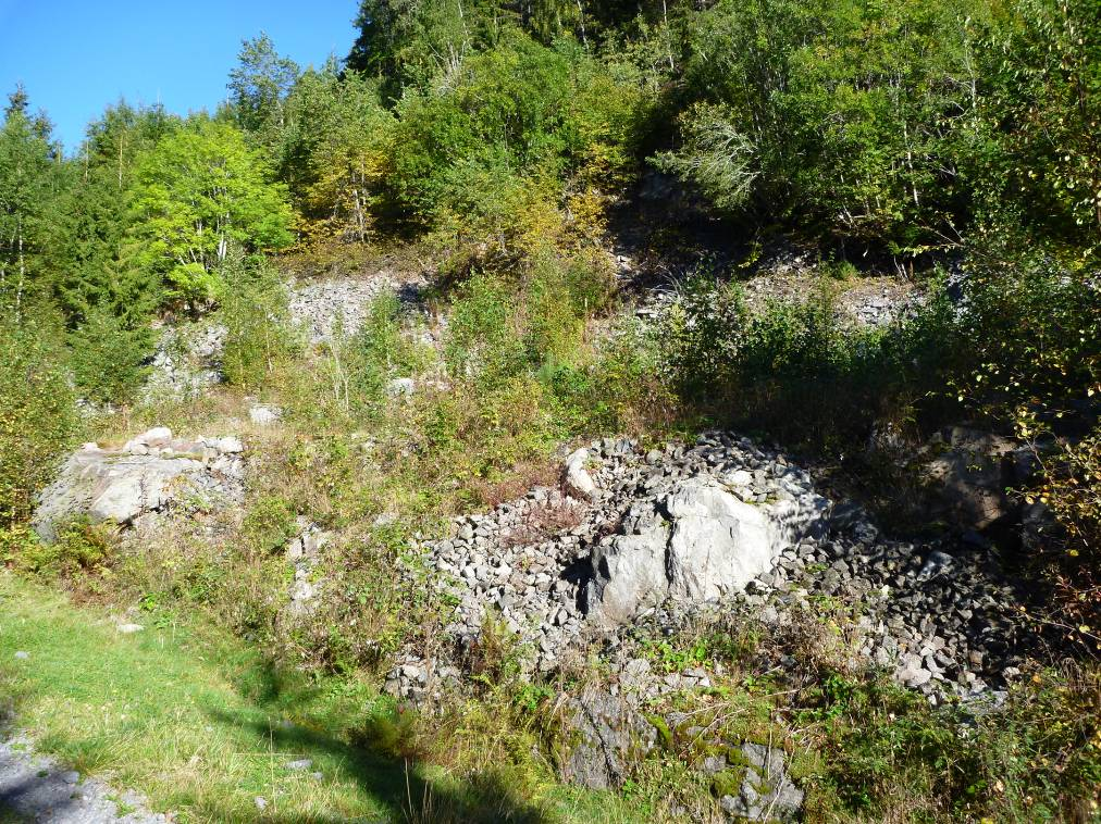 TERRENGET Planområdet ligger i et skogsområde bestående av hovedsakelig gran og noe løvtrær. Det er gjort svært mange inngrep i terrenget før registreringen.