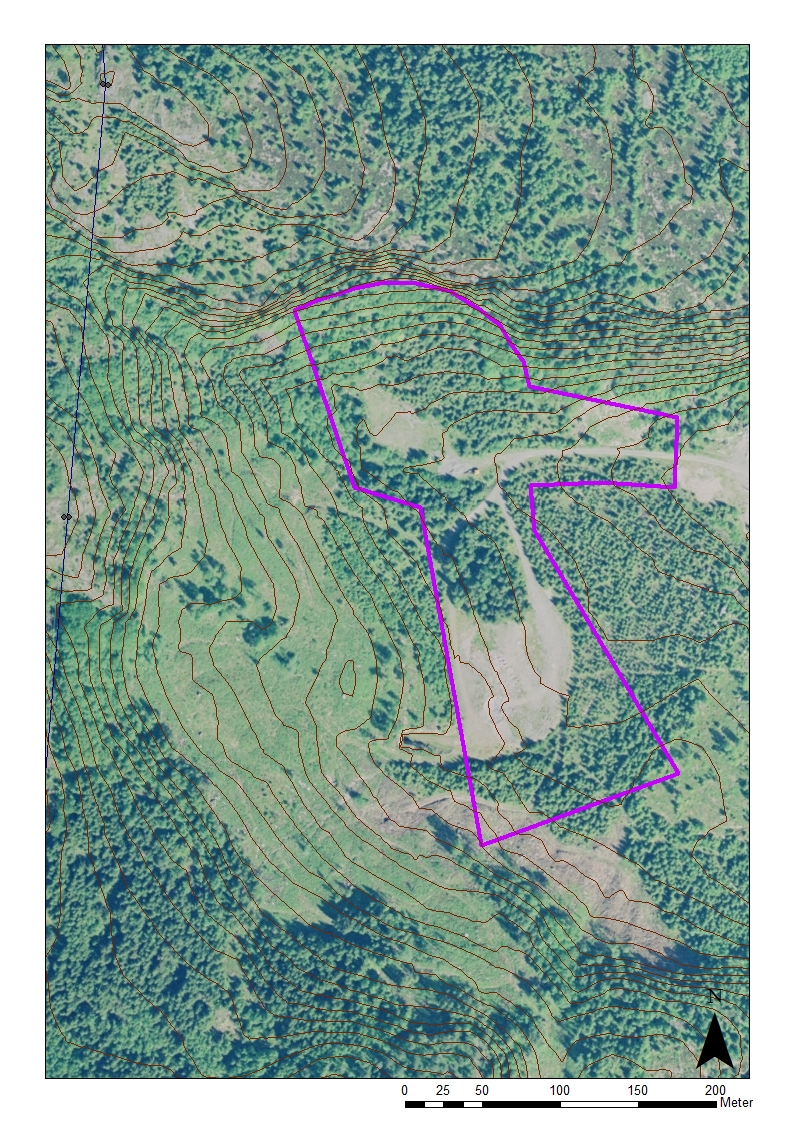 Figur 14. Planområdet er markert med lilla.