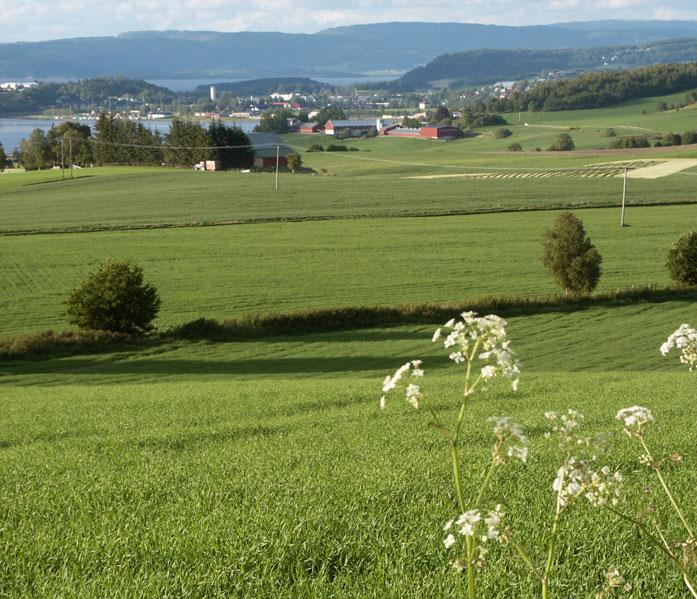 Innherred samkommune Presentasjon for Askim og Eidsberg kommuner