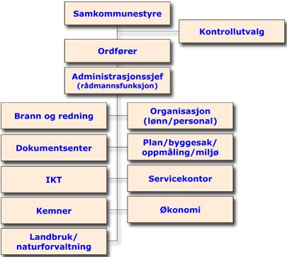 Organisasjonen i dag (2012) Ca