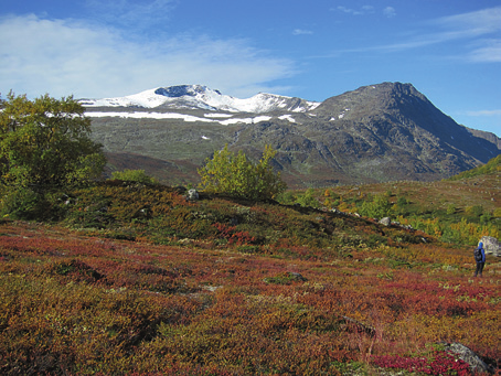 På stien mellom Vargbakken og Knutshøe, mot Bukkehåmåren (t.h.), Kvassryggen og Høgdebrotet. Foto: THS 25.