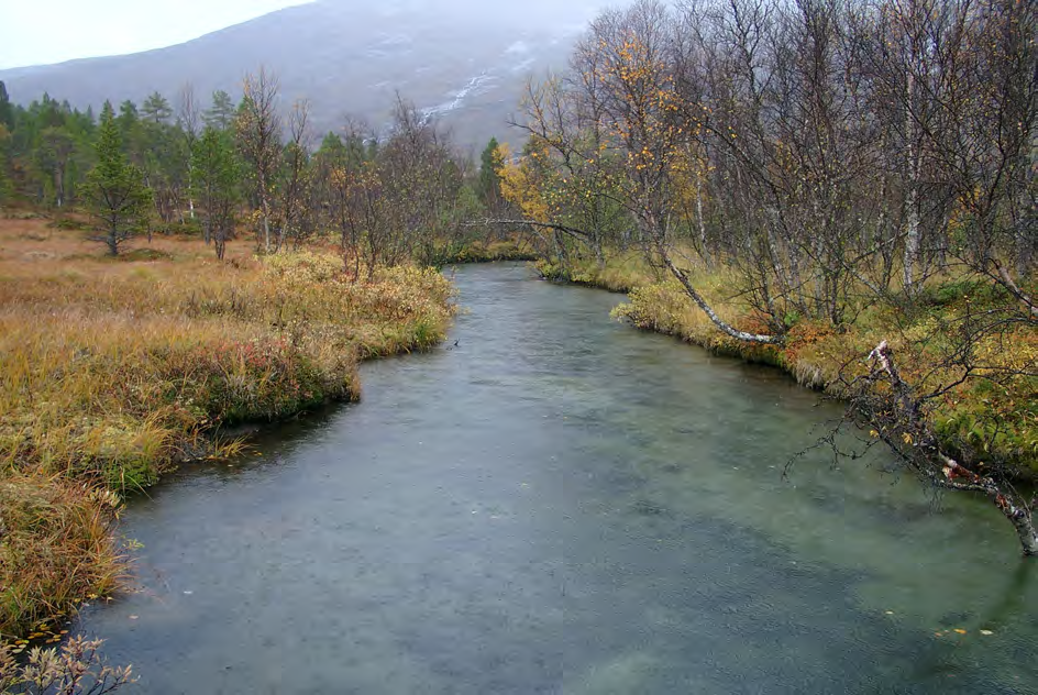 Fig 4.24 Tiltagende mengder med grus i elveløpet på slakere strekninger Fig 4.25 På brattere strekninger er elva renspylt for grus. nedover i dalen.