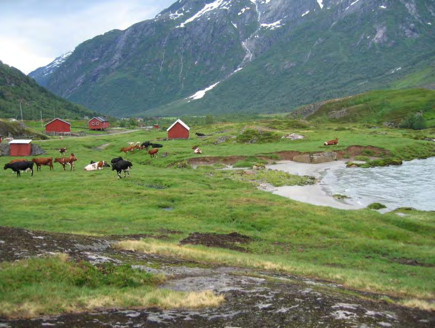 3.3 Naturtype 3.3.1 Ferskvatn/våtmark Elvekant Engvegetasjonen nede ved stølen går nokon stader i mosaikk med noko meir heiprega rabbevegetasjon heilt ned til elvebreidda.