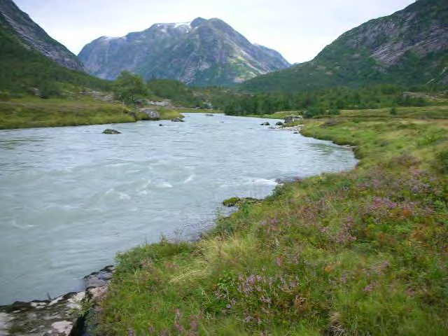 Selbøen vert ikkje gjødsla, og har aldri vore gjødsla med kunstgjødsel. På selbøen var det inngjerda teigar som vart nytta til slåttemark til fram på 50 - talet.