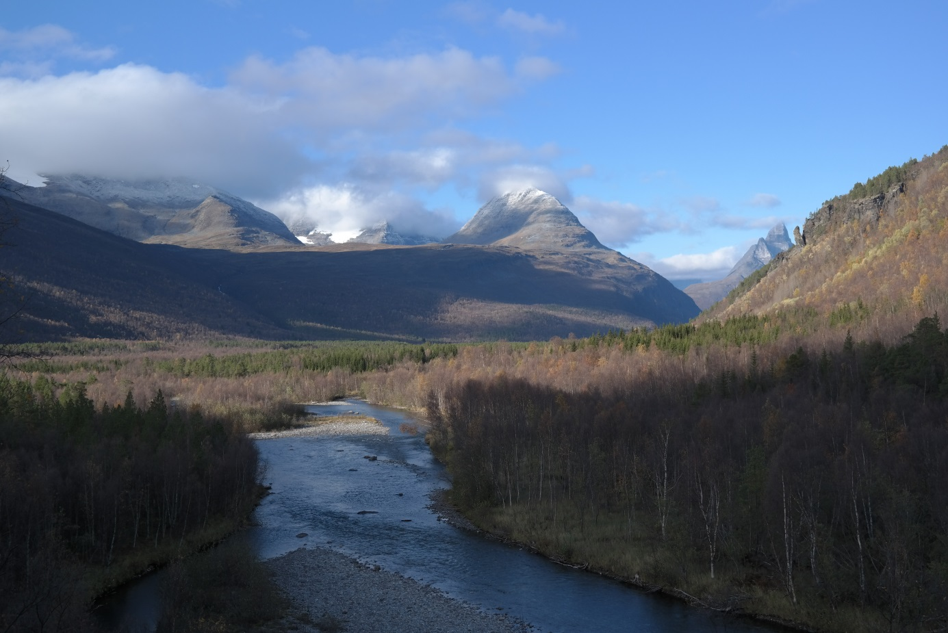 Utredning Rotenonbehandling som tiltak mot lakseparasitten Gyrodactylus salaris i Skibotnregionen. Signaldalselva.