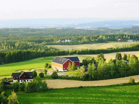 Lokalitetenes status Kartleggers noterte status ved lokalitetene i Vestre Toten og Vang kommuner (tils.