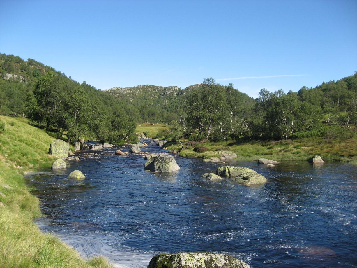 fordelt på ni stasjoner fra nord til sør i magasinet (figur 3). Hvert garn er 30 m langt og 1,5 m dypt, og dekker følgelig et areal på 45 m 2. Disse garna er inndelt i 12 segmenter med maskeviddene 5.