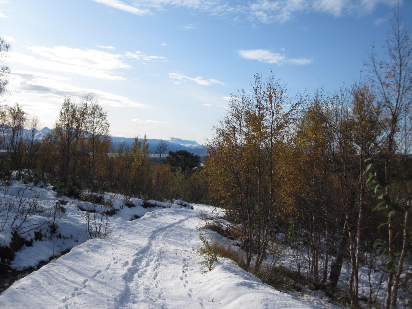 Foto: Byplan, Bodø Kommune Formålet med rulleringen Kommuneplanen er kommunens viktigste styringsverktøy for å ivareta både kommunale, regionale og nasjonale mål, interesser og oppgaver.