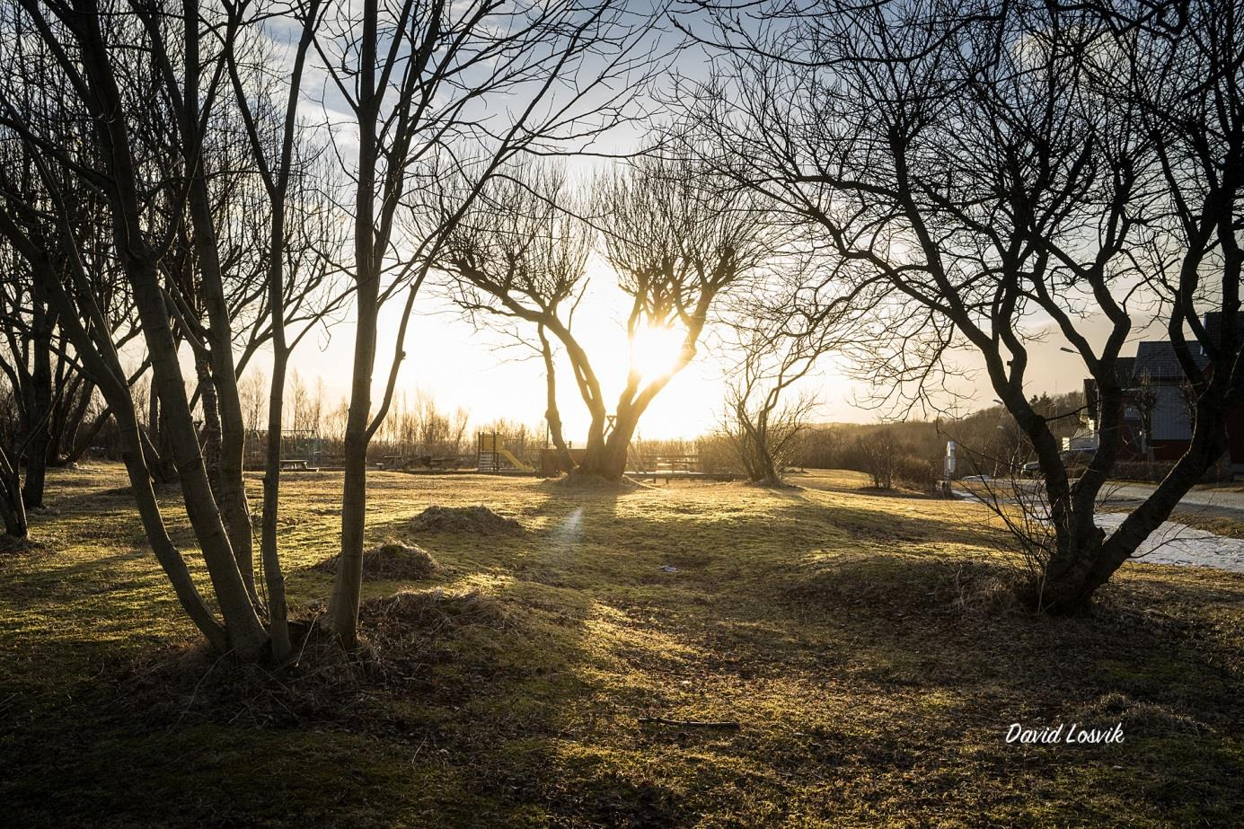 Foto: David Losvik I rapport for beregning av klimautviklingen i Norge «Klima i Norge 2100» er det beregnet hvilke konsekvenser en fortsatt rask økning av klimagassutslippene vil ha for vårt samfunn