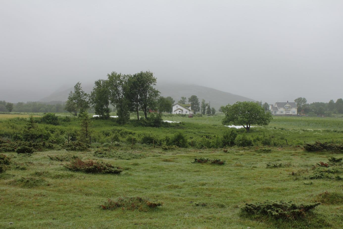 Foto: Byplan, Bodø Kommune Medvirkning, forankring og involvering Plan- og bygningsloven forutsetter at alle kommunale planprosesser skal sikre åpenhet, være forutsigbare og sikre medvirkning for