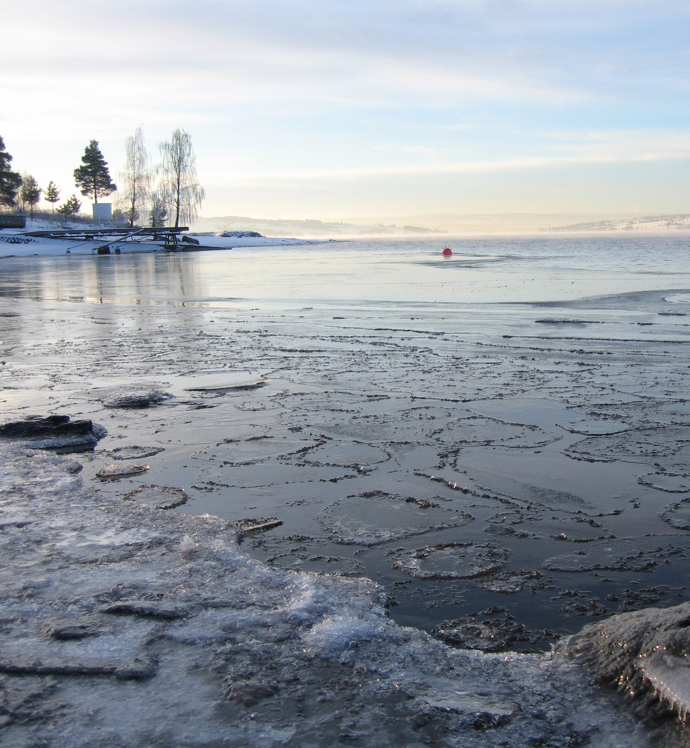 RAPPORT L.NR. 6848-2015 Tiltaksorientert overvåking i vannområde Mjøsa.