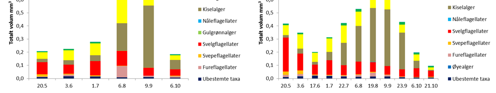 ble benevnt Tabellaria fenestrata (Løvik mfl. 2014). På stasjonene Kise og Furnesfjorden var det en oppblomstring av gullalgen Uroglenopsis americana før kiselalgenes oppblomstring.