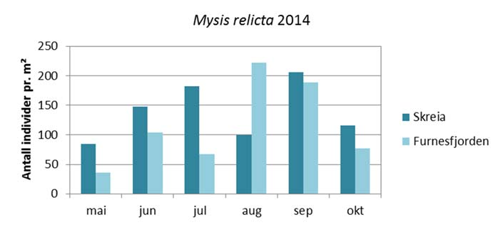 Figur 31. Individtetthet av mysis ved stasjonene Skreia og Furnesfjorden i perioden, mai-oktober 2014.