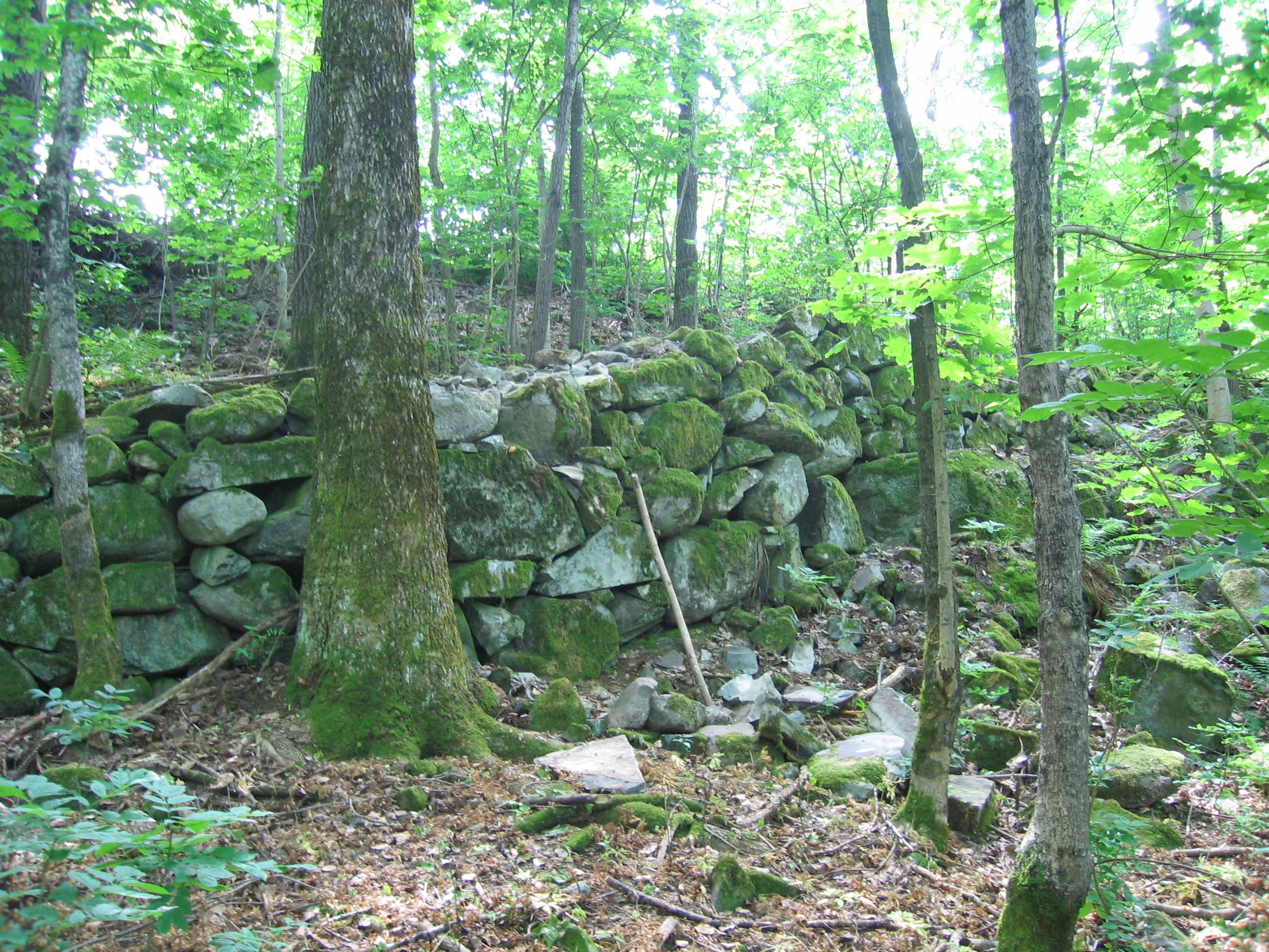 Foto 12: Steinmur nedenfor åkerreinen med rydningstein i østre kant, tatt mot