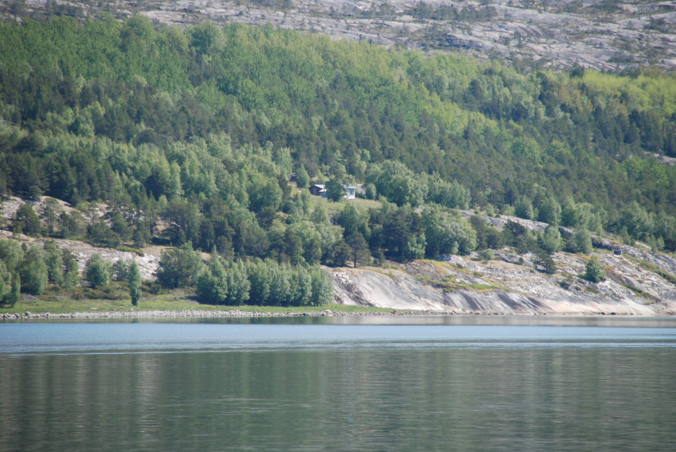 De to brødrene drev Hestnes sammen til om lag 1950. Husdyrholdet besto i denne perioden av noen få storfe og om lag et dusin småfe. Den viktigste næringa var ellers fiskeriene.