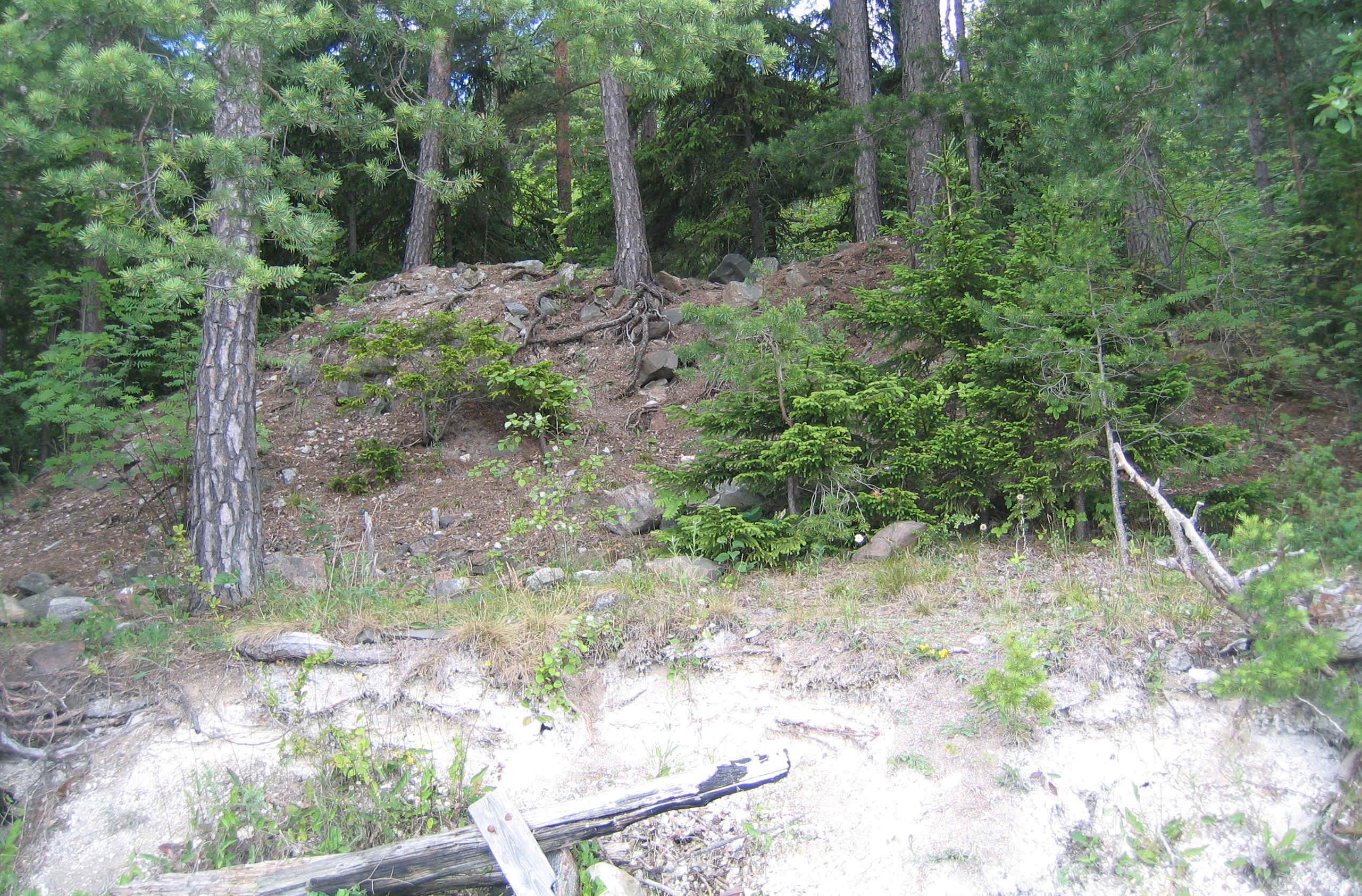 Kart over Kunglungen fra 1885. Kalkovnen ligger i strandkanten på S-siden av Konglungen halvøya, i det SV hjørnet av reguleringsområdet, tett opp mot spirabukta friområde.