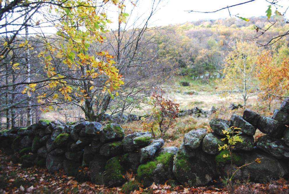 Menneskeskapte nøkkelelementer Ingen - Landskapskarakter: Et variert landskap med terrasert åsside i sør og en dalbunn med gress-slette, våtmarksområde og dyrkamark.