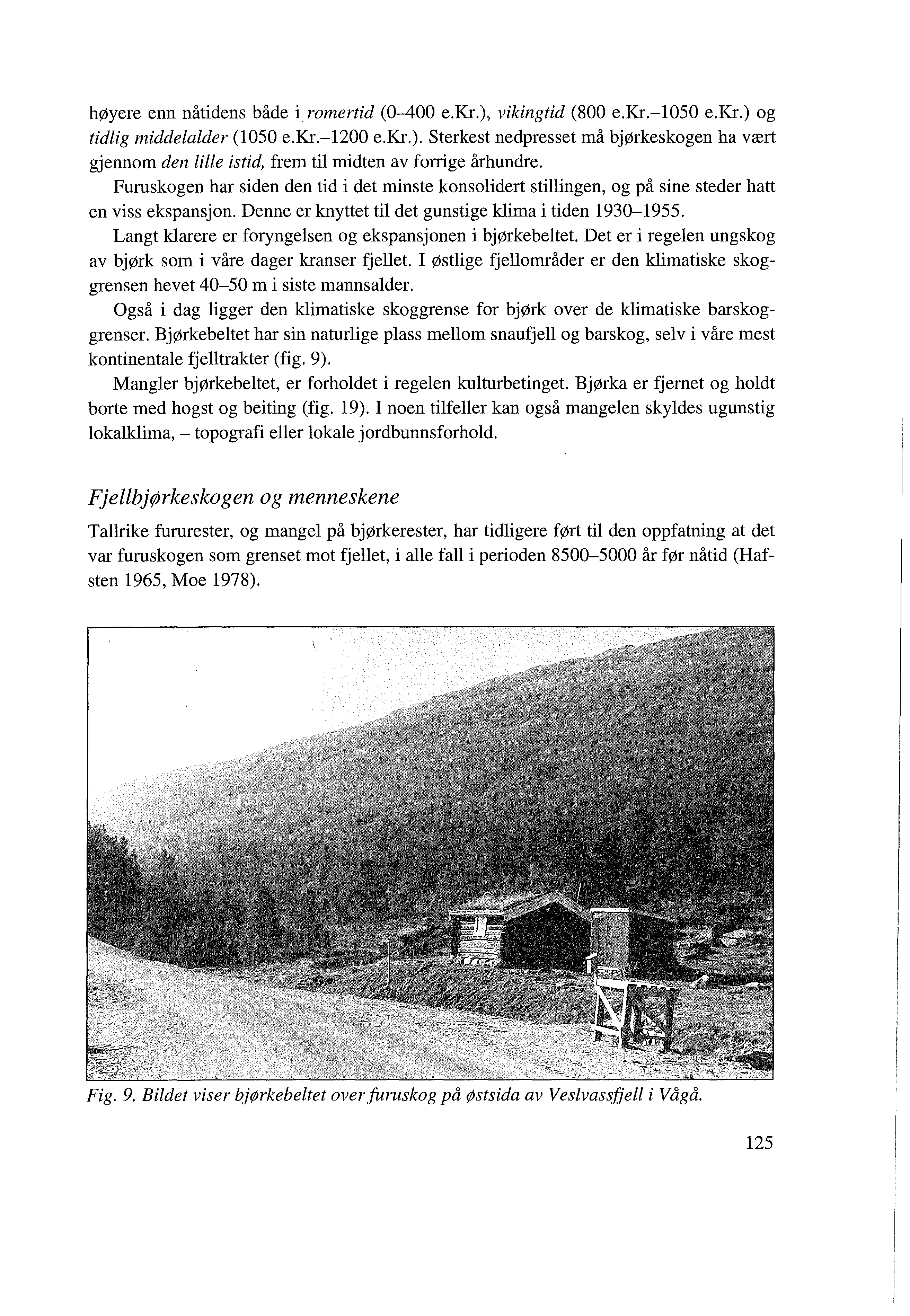 høyere enn nåtidens både i romertid (0-400 e.kr.), vikingtid (800 e.kr.-1050 e.kr.) og tidlig middelalder (1050 e.kr.-1200 e.kr.). Sterkest nedpresset må bjørkeskogen ha vært gjennom den lille istid, frem til midten av forrige århundre.