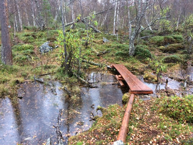 4. Fiskeplass og gapahuk ved Käyraniva (og evnt ved Hovinkivi). Reisa elvelag har satt en gapahuk ved fiskeplassen Käyraniva i 2012(?). Den inngår også i et tilbud knyttet mot andre brukere. 5.