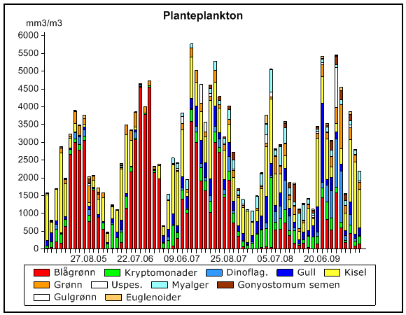 Variasjon i planteplanktonets mengde- og sammensetning i Storefjorden i 25-29.