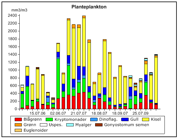Variasjon i klorofyll og planteplankton-mengde og