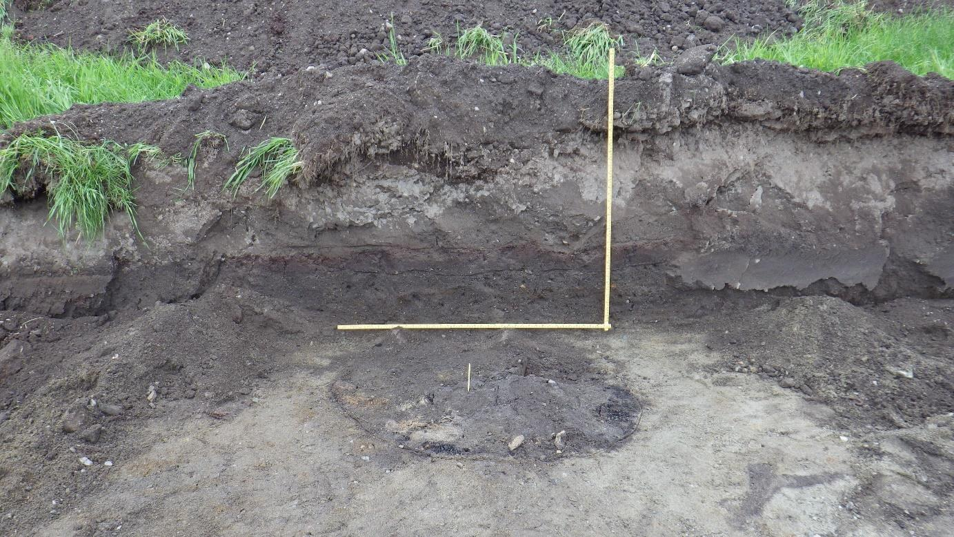 Nedgravning (221309-15) som ble snittet. 20 cm dyp og fyllmassen inneholdt noe kull og skjørbrent stein. Svakt buet form, men ingen tegn til fortsettelse videre. Målestokk 1 m. Bilde tatt mot nord.