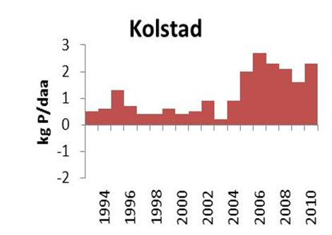 Fosforbalanser i