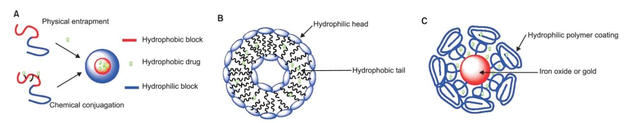 1 INNLEDNING polymerer, til å danne nanopartikler[11].