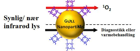 2 MATERIALE OG METODE Figur 12: Syntese av C11Pc-PEG gull nanopartikler: Gull klorid (HauCl 4 ) ble redusert i nærvær av C11Pc fotosensitiseren og tiolert karboksy PEG ved å bruke natrim borohydrid