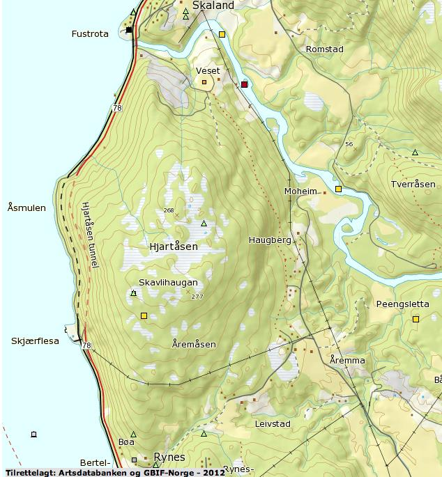 32-(59) PLANBESKRIVELSE MED KONSEKVENSUTREDNING Den eneste lokaliteten i Naturbase er elveløpet til Fusta.