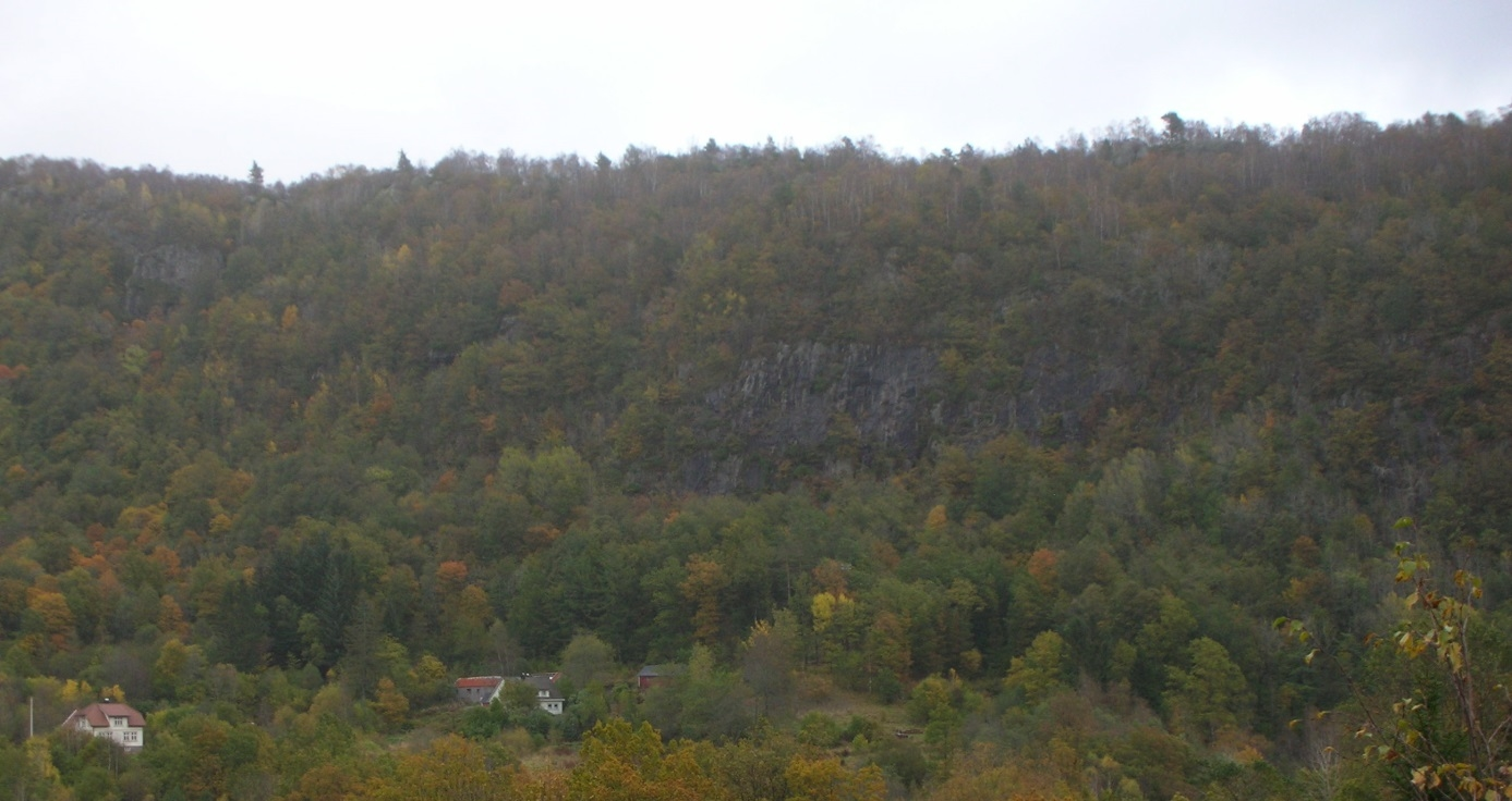 Kommunedelplan E39 Vigeland-Lyngdal vest. Fagrapport ingeniørgeologi 51 Figur 35 Relieffkart med trasé for Ingridåstunnelen tegnet inn. I tillegg vises løsne- og utløpsområder for steinsprang.