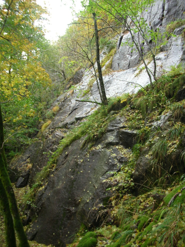 Kommunedelplan E39 Vigeland-Lyngdal vest. Fagrapport ingeniørgeologi 53 Figur 38 Fjellskrenten ved veipunkt 45 er glatt og preget av iserosjon. 4.2.