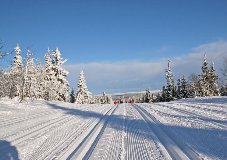 LANGRENN Norges beste langrennsløyper 350 km med dobbeltspor for både