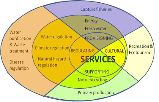 2013 kort oppsummert Økosystemtjenester (ØST) i vannforvaltning (WP 4) Innledende workshop på ØST i februar Planlegging av arbeid videre på både akvatisk og terrestrisk side Planlegging av