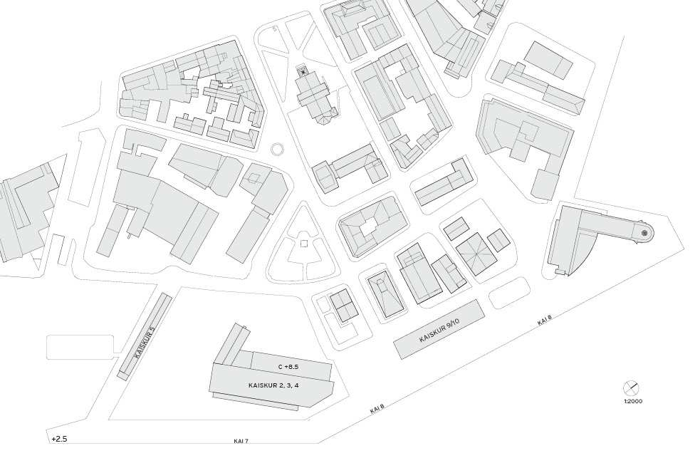 Målet for planen er å utforme Prostneset til et bærekraftig trafikknutepunkt som tilbyr effektiv kommunikasjon for de reisende, og å utvikle Prostneset som attraktivt sentrumsområde i godt samspill