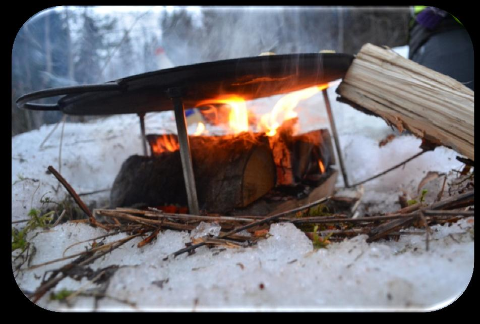 Fra Rammeplanen Natur, miljø og teknikk.«naturen gir rom for et mangfold av opplevelser og aktiviteter til alle årstider og i all slags vær.