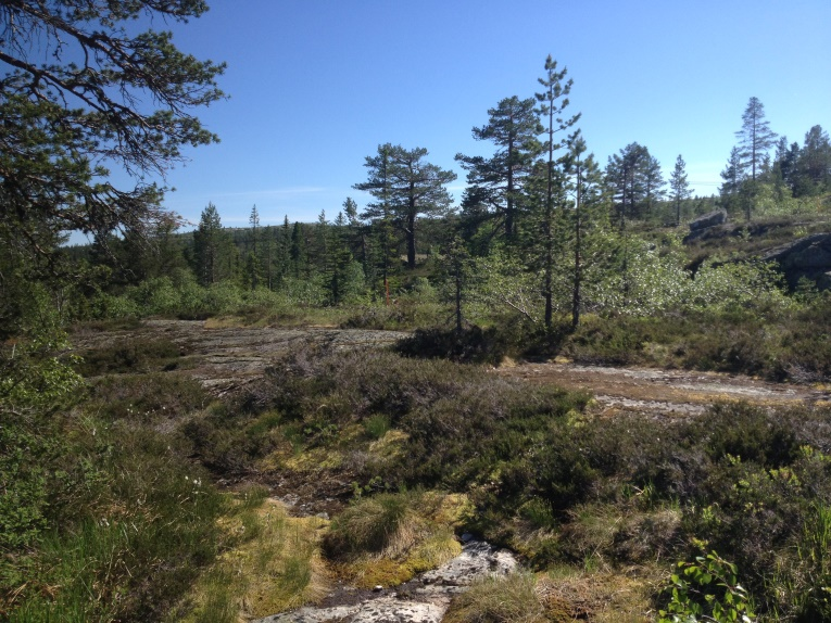 Tomt 374 Tomtene 373 og 374 er lokalisert på et flatere parti med delvis bart fjell.