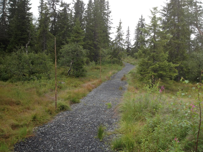 Vegen ender mot hytta på A 30. Det er skog i området som skjermer vegtraseene. Veg til A24 er lokalisert langs med en etablert sti som er godt skjermet av vegetasjon. 4.