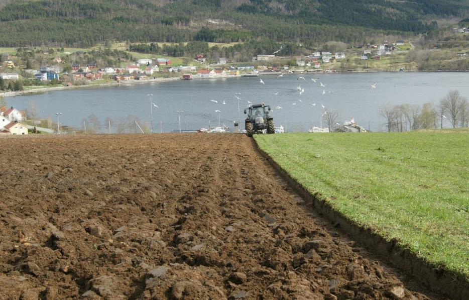 Disposisjon Hvorfor er jord mer enn bare en vokseplass for planterøtter?