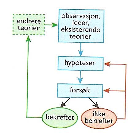 Det er ikke godt samsvar mellom forventning og observasjon hvorfor? Miljøeffekter?