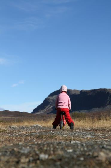 3.3 Status helsetilstand og påvirkningsfaktorer med vurdering av mulige årsaker og konsekvenser Dette kapittelet er en oppsummering av befolkningssammensetning, oppvekst- og levekårsforhold, fysisk,