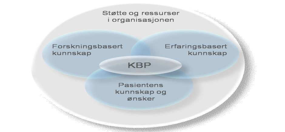 Hjelpemidler og nye elementer Kunnskapsbasert praksis AGREE-instrumentet Delingsted: www.fagprosedyrer.