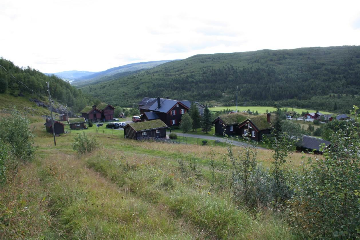 Figur 4. Slåtteenga på Søndre Skarsgard sett fra sydøst. Støttemuren til den gamle fjellvegen ses ved telefonstolpe.