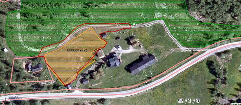 B. Spesiell del: (se veiledning til tabellen nederst i dokumentet) SØKBARE EGENSKAPER (for Naturbase) Navn på lokaliteten Søndre Skarsgard ID i Naturbase BN00012725 Registrert i felt av: Ellen