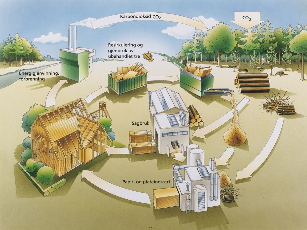 CO2 Illustrasjon: Treindustrien/CEI-Bois Hva er «rettferdige» rammebetingelser for tre?