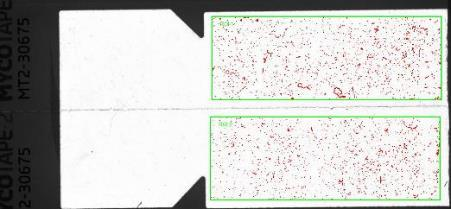 Analyse DNA Støvprosent funnet ved digital scanning. DNA-profil analysert etter metoden Mycoteam har utviklet i samarbeid med Housetest (DK).